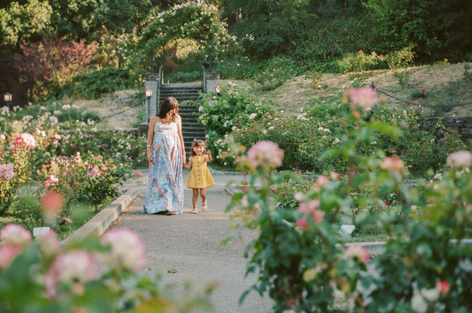 film photo of pregnant mama with toddler daughter in morcom rose garden